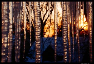Icicles and Sun