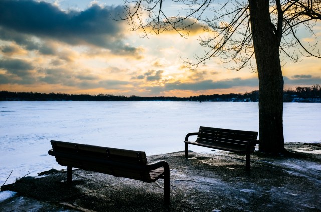 sun reeds lake-2small